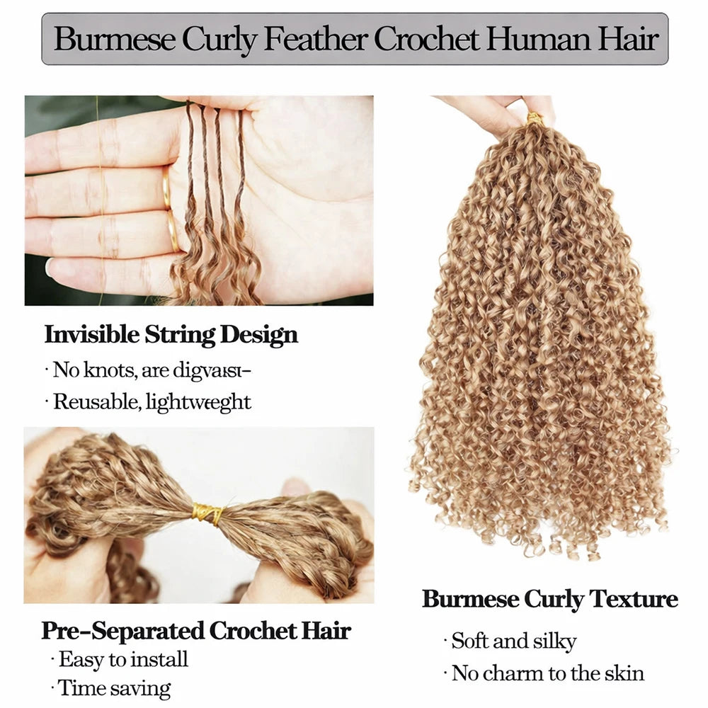#27 Burmese Kinky Curly Feather Crochet Hair Extensions Honey Blonde Color Knotless Curly Human Hair Pre Separated For Women